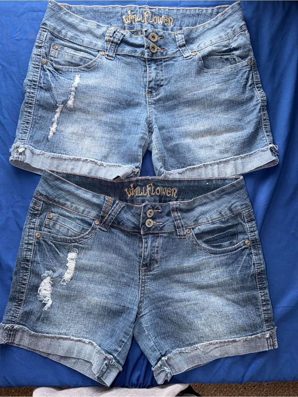 Wallflower Medium Wash Distressed Denim Shorts - Blue